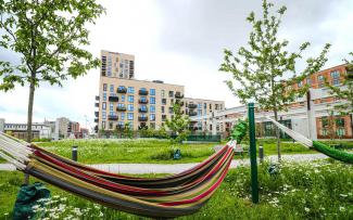 Do you fancy just chilling in the hammocks? © FB Gruppen A/S Hammock between fruit trees